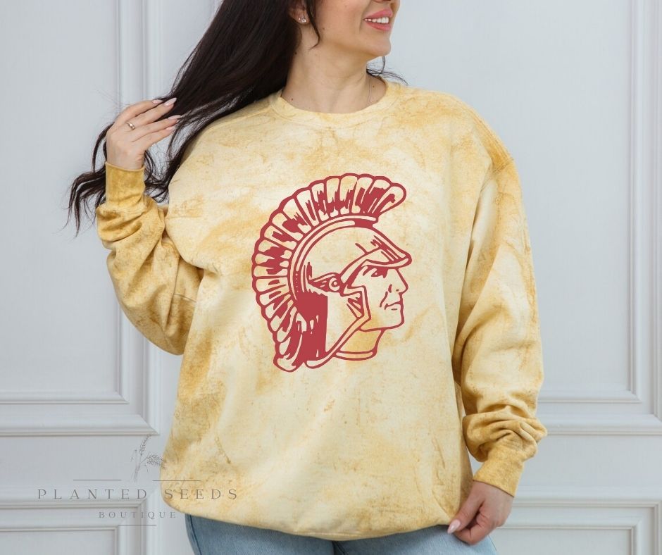 Titans Vintage Color Blast - Seeds & Sawdust