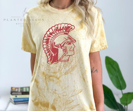 Titans Vintage Color Tee - Seeds & Sawdust